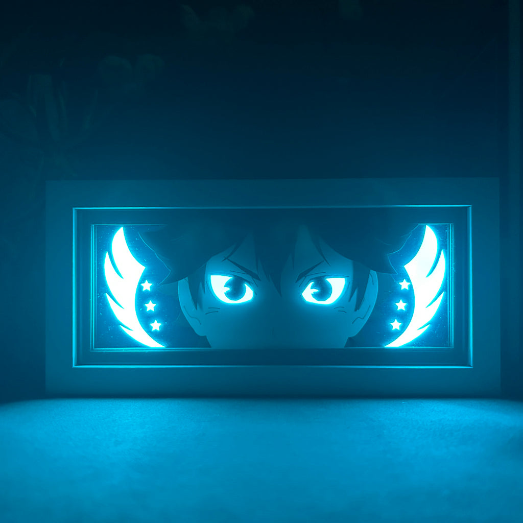 Haikyu - Shoyo Hinata Light Box